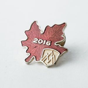 Soft enamel painted lapel pin.